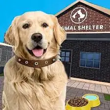 Good intentions arent enough for your animal welfare organisation. The picture shows a golden retriever in front of an animal shelter.